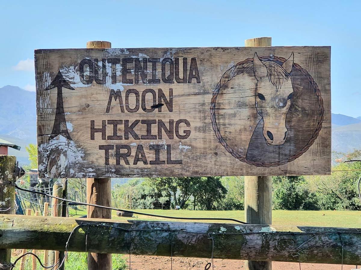 Ruiterbos Outeniqua Moon Percheron Stud Farm מראה חיצוני תמונה