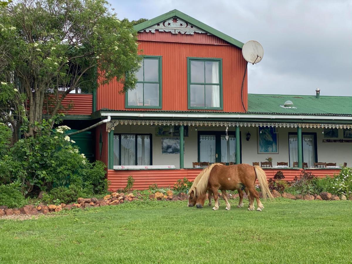 Ruiterbos Outeniqua Moon Percheron Stud Farm מראה חיצוני תמונה
